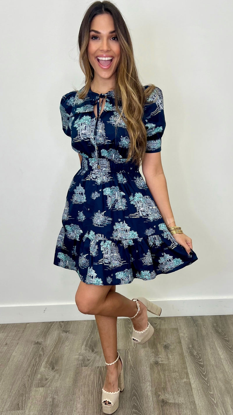 Lusie Navy Print Dress