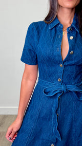 Mayra Dark Denim Button Down Midi Dress