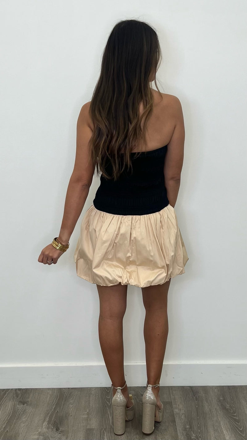 Kimberly Black & Beige Mini Balloon Dress