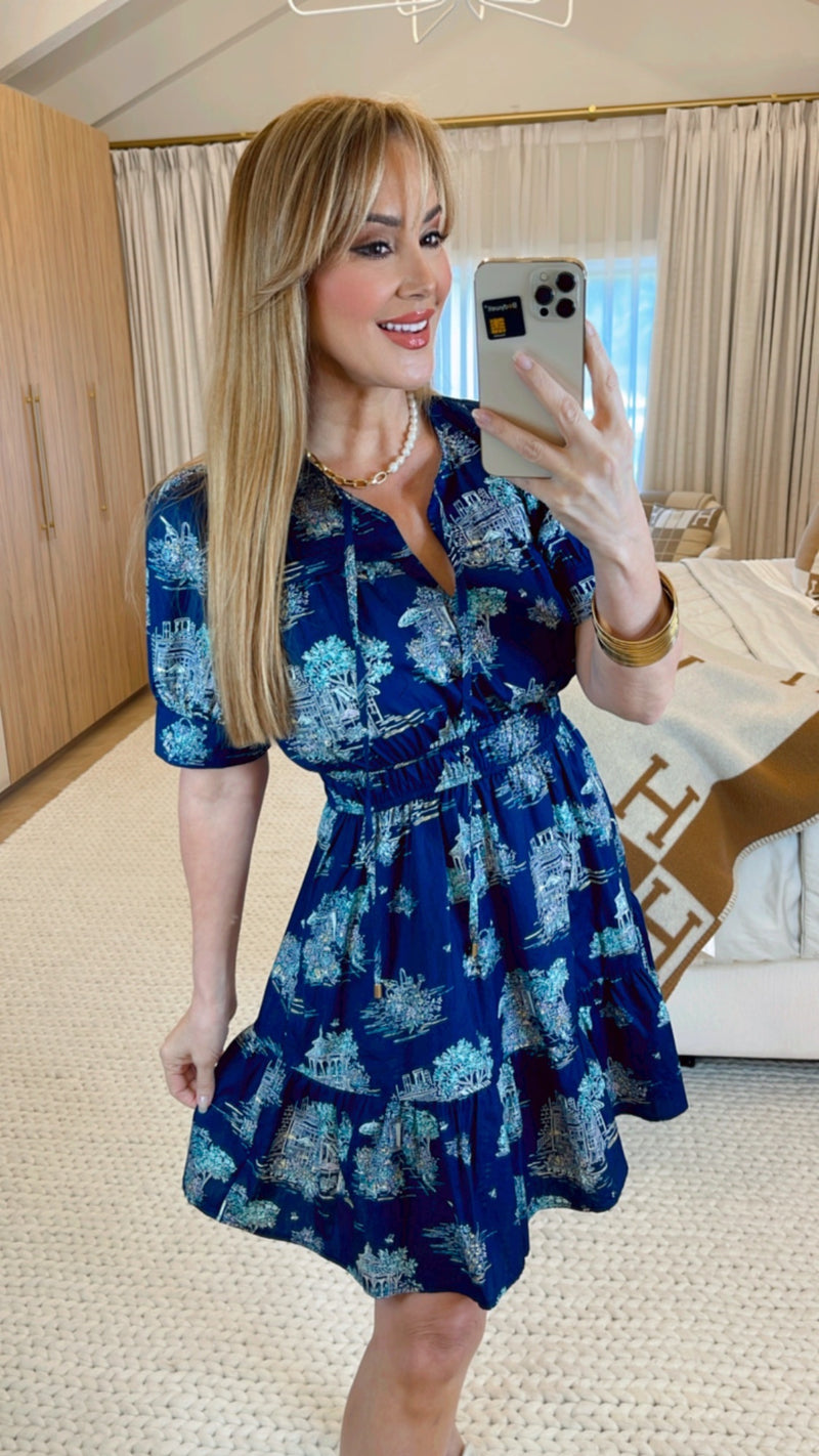 Lusie Navy Print Dress